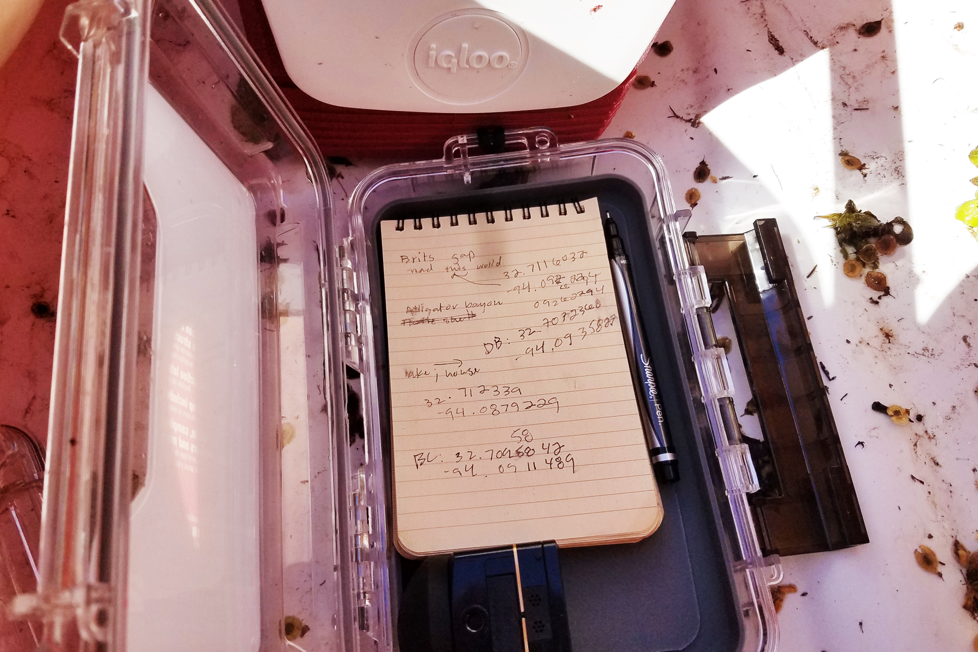 Screen shots of Immersion live wells