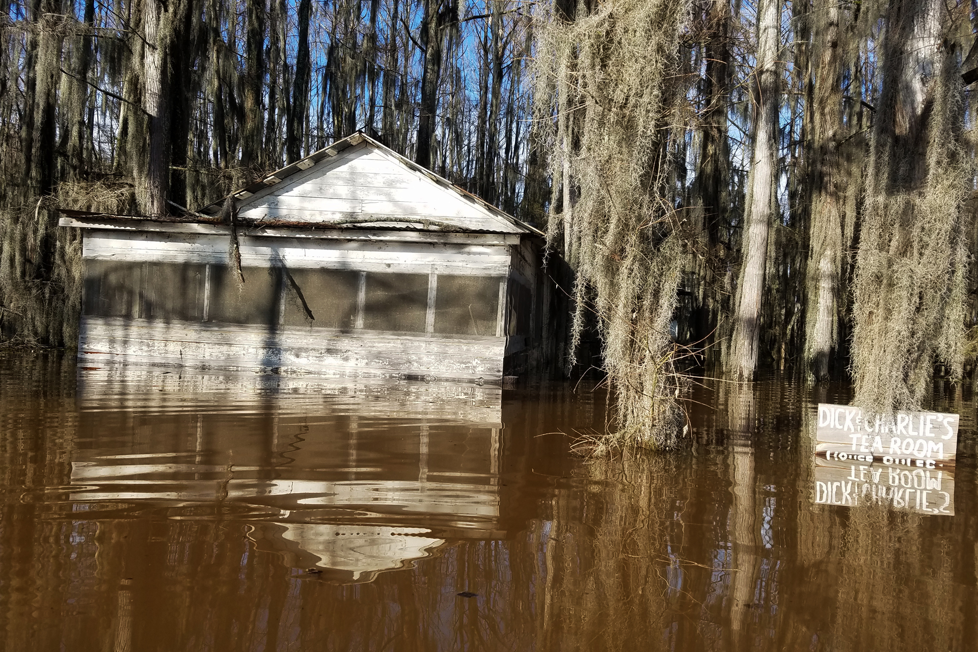 Charlie's Tea Room Underwater
